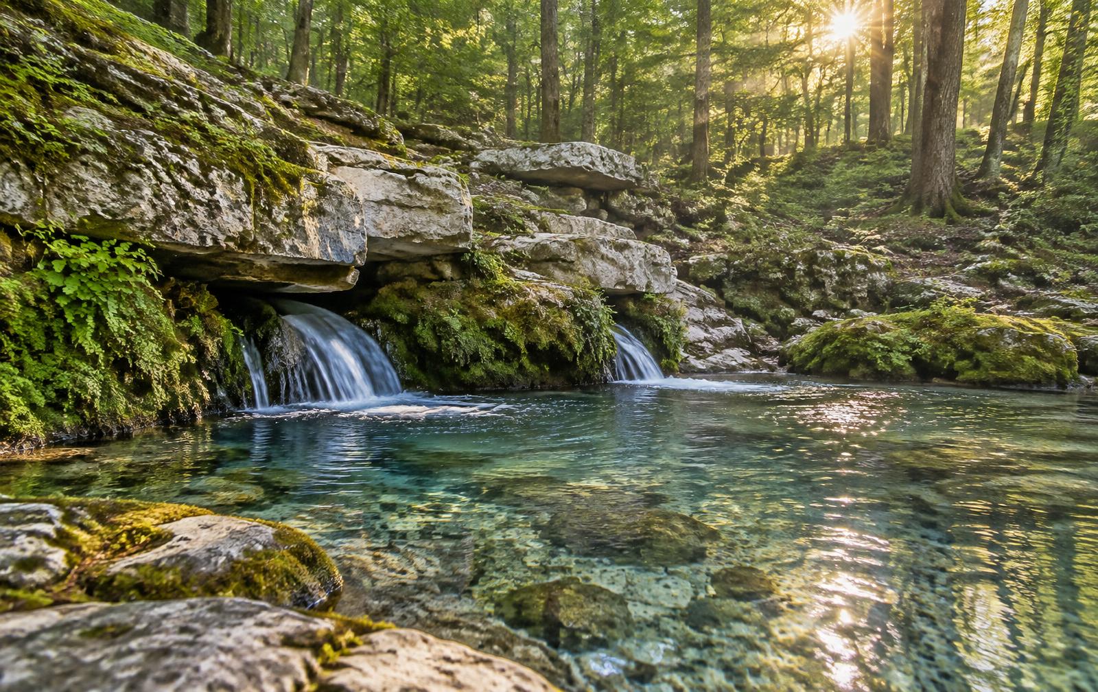 A clear limestone spring in the Virginia woods